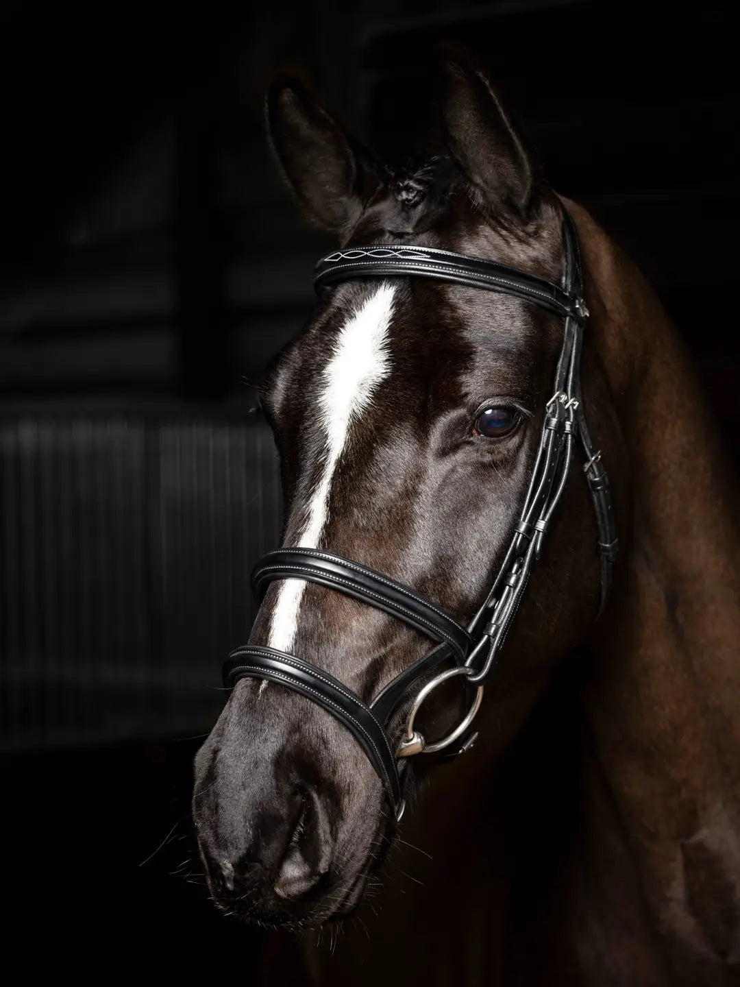 LeMieux Kudos Double Noseband Bridle Black/Silver
