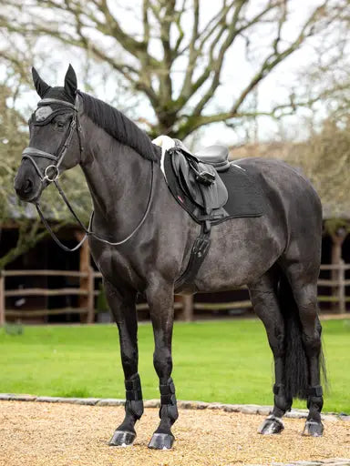 LeMieux Merino+ Half Lined Suede EuroJump Square Black/Natural Medium Black/Natural Saddle Pads