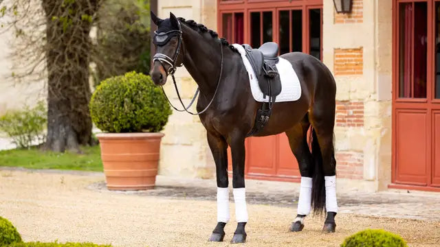 LeMieux Merino+ Half Lined Suede Dressage Square White/White Medium White/White Dressage Saddle Pads