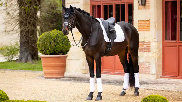 LeMieux Merino+ Half Lined Dressage Square White/White Medium White/White Dressage Saddle Pads
