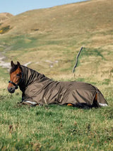 Lemieux Arika 600D Ripstop 100g Turnout Rug Alpine 4'9 Alpine Turnout Rugs