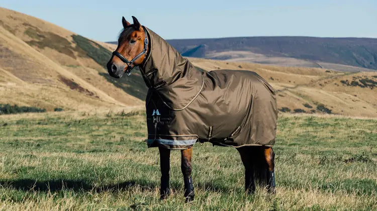 Lemieux Arika 600D Ripstop 100g Turnout Rug Alpine 4'9 Alpine Turnout Rugs