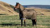 Lemieux Arika 600D Ripstop 100g Turnout Rug Alpine 4'9 Alpine Turnout Rugs