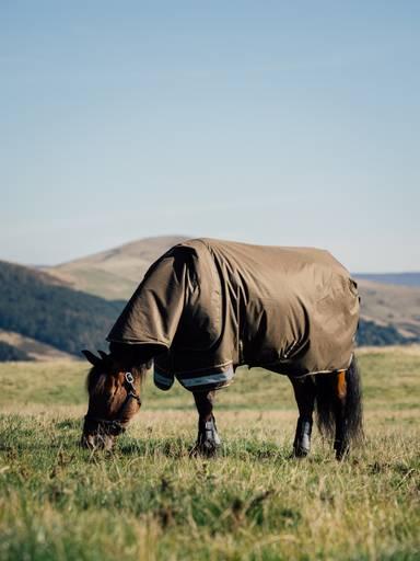 Lemieux Arika 600D Ripstop 50g Turnout Rug Alpine 4'9 Alpine Turnout Rugs