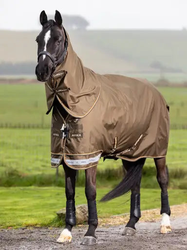 Lemieux Arika 600D Ripstop 50g Turnout Rug Alpine 4'9 Alpine Turnout Rugs