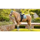 Lemieux Loire Classic Dressage Square Aqua on Brown Horse