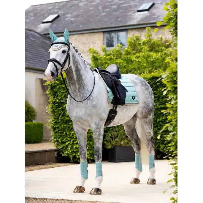 Lemieux Loire Classic Dressage Square Aqua on Grey Horse