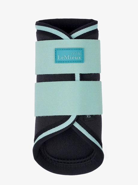 Lemieux Mini Brushing Boots Aqua Aqua Mini Brushing Boots