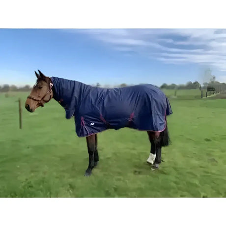 Navy blue jhl essential medium weight 200g combo turnout rug with red trim and logo on the side