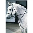 JHL Market Harborough Havana Cob / Full Training