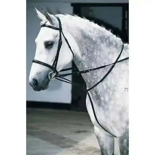 A white horse wearing a black running martingale bridle in jhl market harborough market harborough