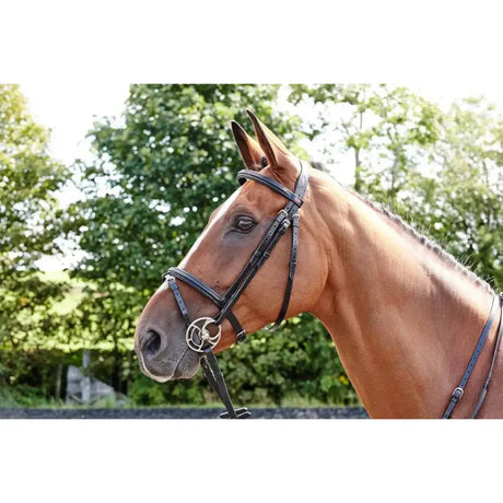 Black leather john whitaker barton raised flash bridle with silver hardware italian finish detail
