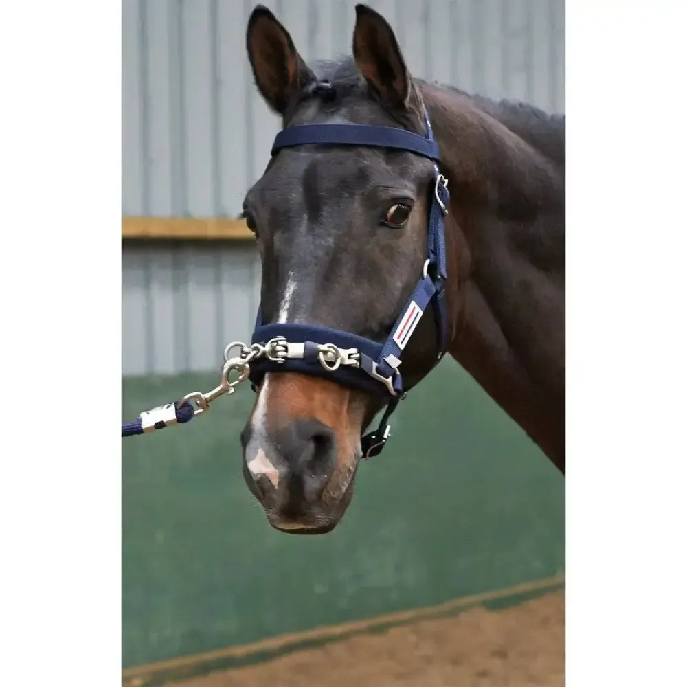 John Whitaker Lunge Cavasson Full Lunging Cavesson