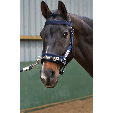 Navy blue john whitaker lunge cavasson with silver metal hardware and white stripe detail for lunging use