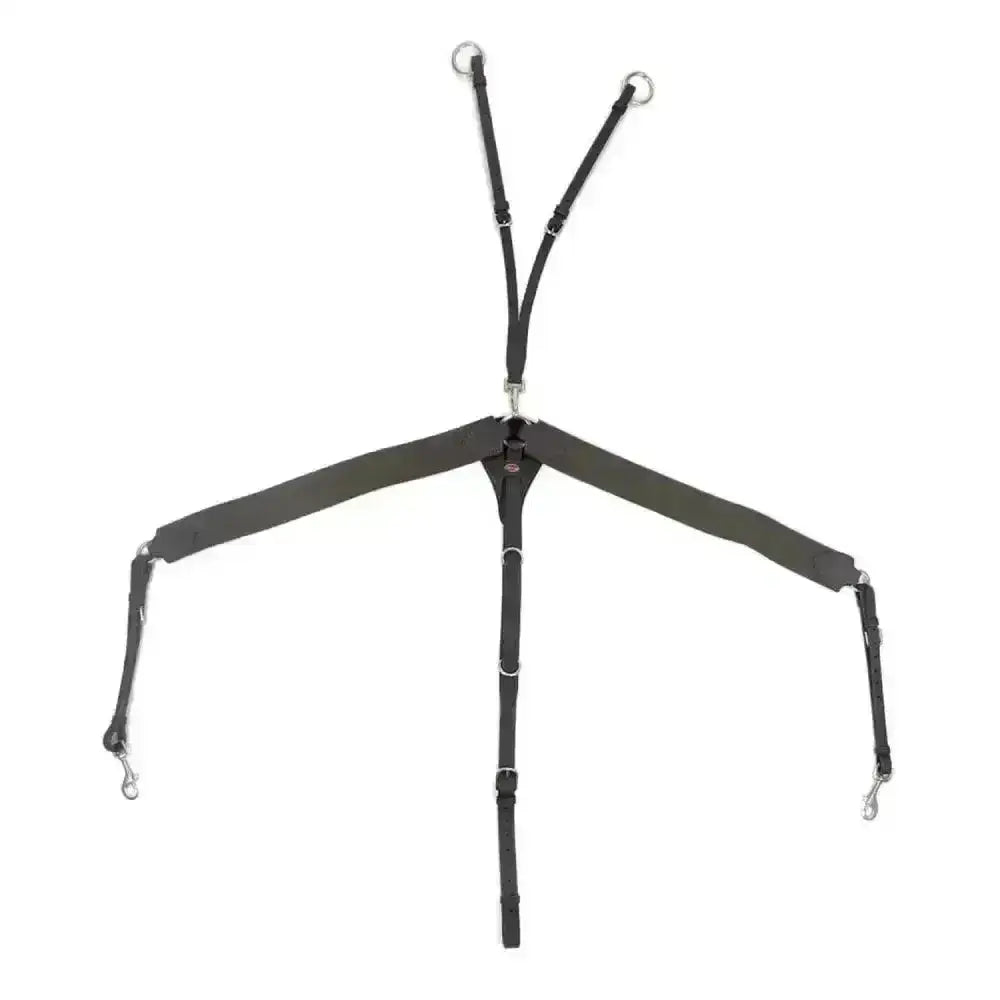 Black leather horse halter with adjustable straps and metal hardware for john whitaker ready ride elastic breastplate