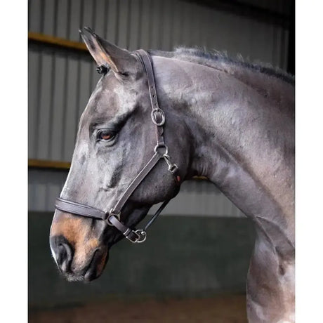 John Whitaker Ready To Ride Leather Headcollar Black Pony Leather Headcollars