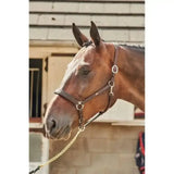 John Whitaker Ready To Ride Leather Headcollar Havana Pony Leather Headcollars