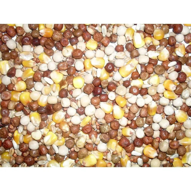 Johnston & Jeff All Rounder Pigeon Corn 20 kg Bird Feed