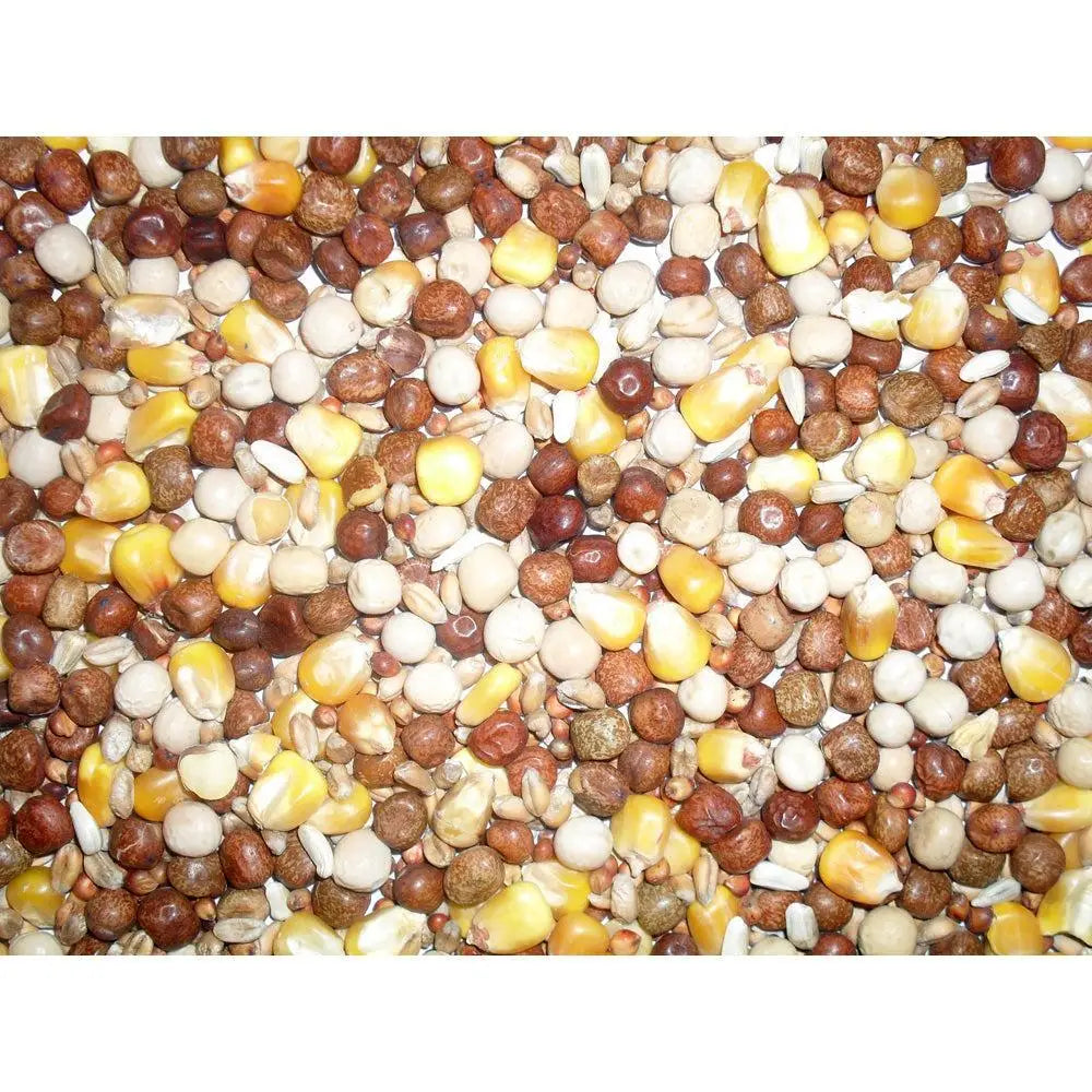 Colorful mix of yellow corn, millet, and quinoa seeds in johnston & jeff all rounder pigeon corn 20 kg bag