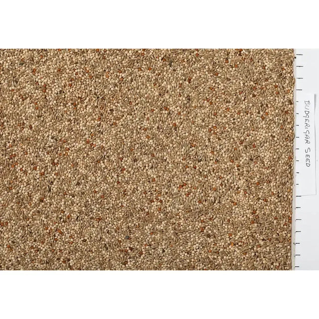 Johnston & Jeff Budgerigar Seed 3 kg Bird Feed