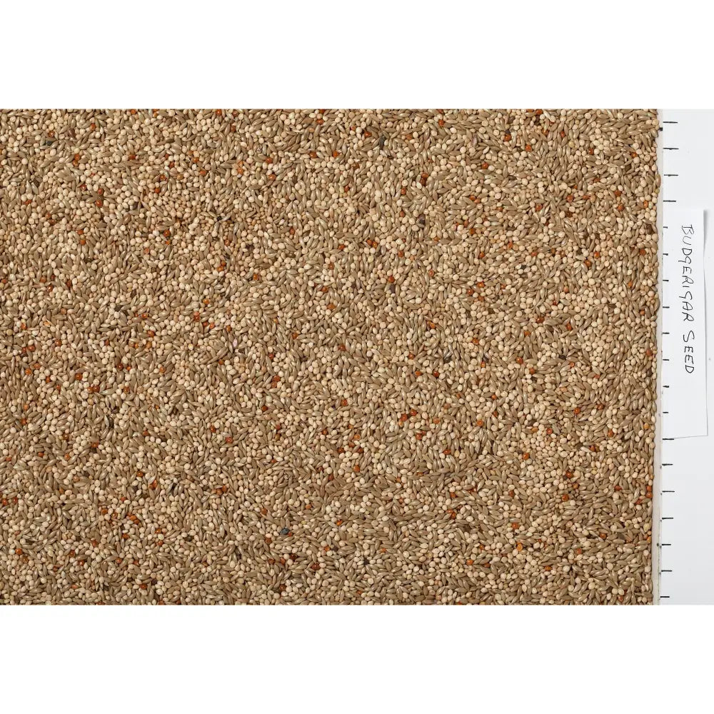 A dense textured pile of earthy beige and light brown jeff budgerigar seed perfect as budgie seed mix
