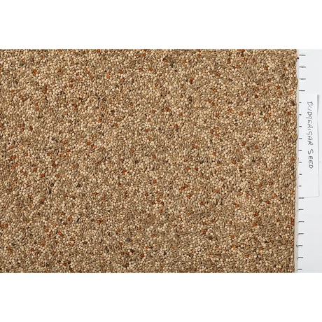 A dense textured pile of earthy beige and light brown jeff budgerigar seed perfect as budgie seed mix