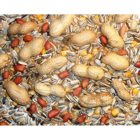 A mix of whole peanuts monkey nuts sunflower seeds and red millet grains in johnston and jeff chipmunk squirrel mix 12.5kg