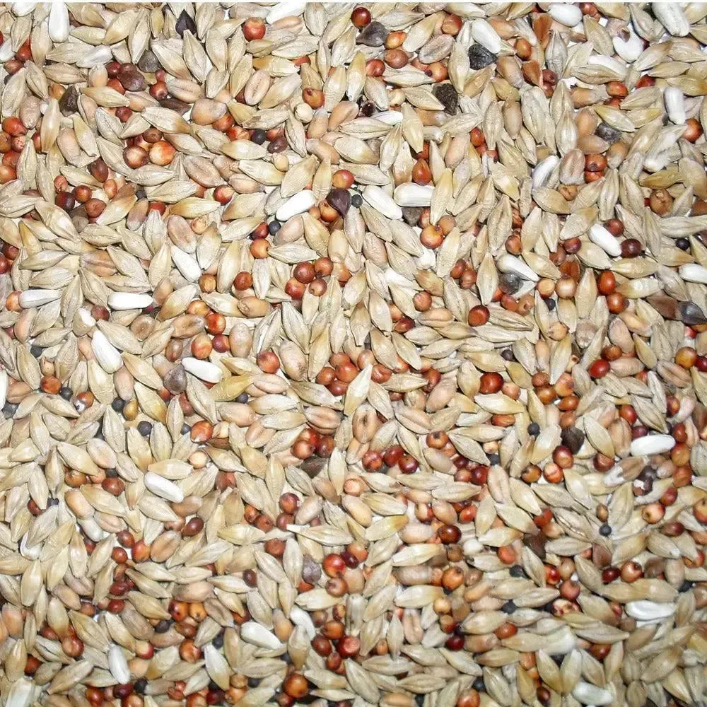 Johnston & Jeff Euro Depurative Pigeon Mix 20 kg Bird Feed