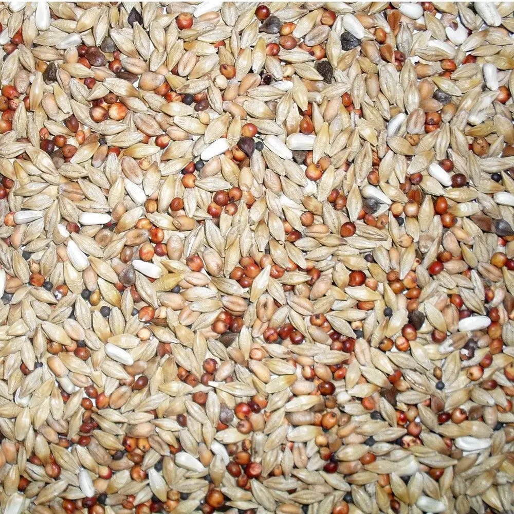 A mix of light tan brown and white seeds in jeff euro depurative pigeon mix 20 kg for healthy birds