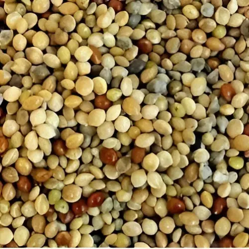 A close-up of jeff millet mixed grains showing small round quinoa in beige brown and green tones for 20 kg pack