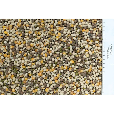 Johnston and jeff mixed pulses 12.5kg with colorful white yellow dark beans and green lentils rich in amino acids and germinated seeds