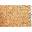 A textured fabric with dense beige and tan fragments resembling crushed peanuts from johnston & jeff peanut granules