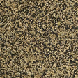 Johnston and jeff seed for soaking showing a mix of dark and light brown millet seed with slender stalks for equestrian use