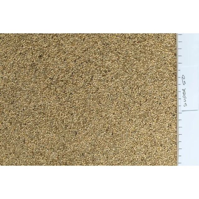 A dense layer of light brown tiny round budgie seed with a slightly textured surface from johnston & jeff super 50