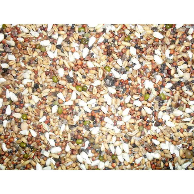 Johnston & jeff trapping mixture type 66 12.5kg with colorful birdseed mix of sunflower seeds millet peas and small seeds