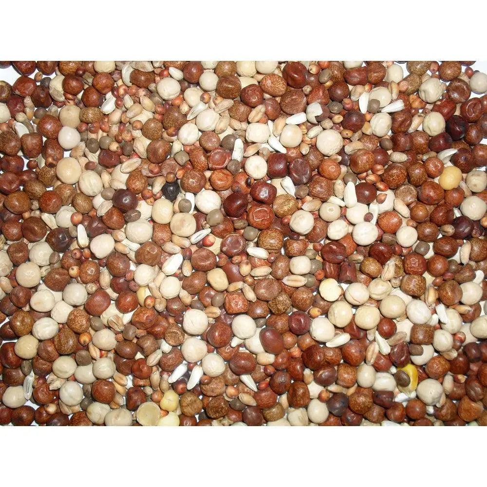 Johnston and jeff young bird no maize 20 kg with colorful assorted pigeon corn in natural brown beige and black tones
