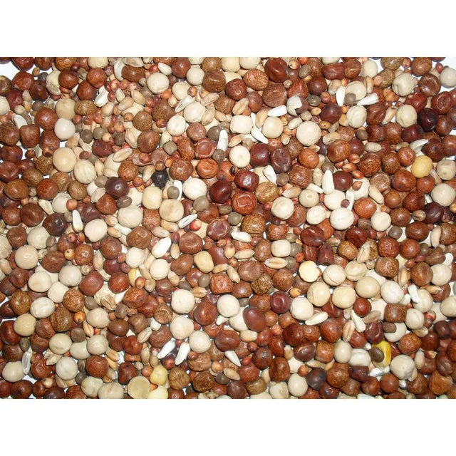 Johnston and jeff young bird no maize 20 kg with colorful assorted pigeon corn in natural brown beige and black tones