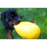 A rottweiler chewing on a bright yellow, durable rubber jolly pets jolly egg yellow with a fun oval shape