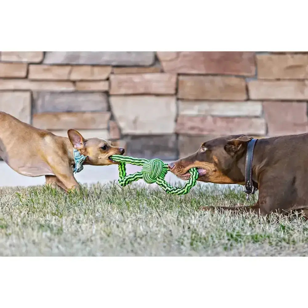 Green braided rope toy with knotted center for dogs by jolly pets gentle tug rope toy for tugging fun
