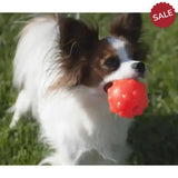 Jolly Pets Jolly Jumper Orange 3" Orange Dog Toys