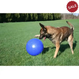 Jolly Pets Push-N-Play Blue 4.5" Blue Dog Toys