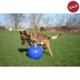 Jolly Pets Push-N-Play Blue 4.5" Blue Dog Toys