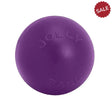 Jolly Pets Push-N-Play Purple 10" Purple Dog Toys