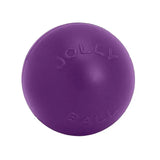 Jolly Pets Push-N-Play Purple 10" Purple Dog Toy