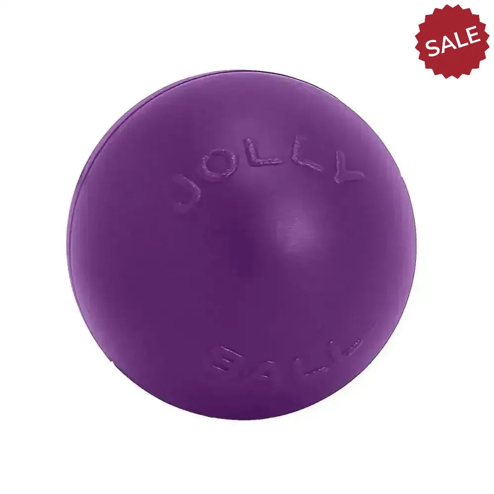 Jolly Pets Push-N-Play Purple 10" Purple Dog Toys