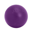 Jolly Pets Push-N-Play Purple 10" Purple Barnstaple Equestrian Supplies