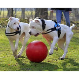 Red rubber ball from jolly pets push-n-play in push-n-play red color, perfect baddest dog ball for active play
