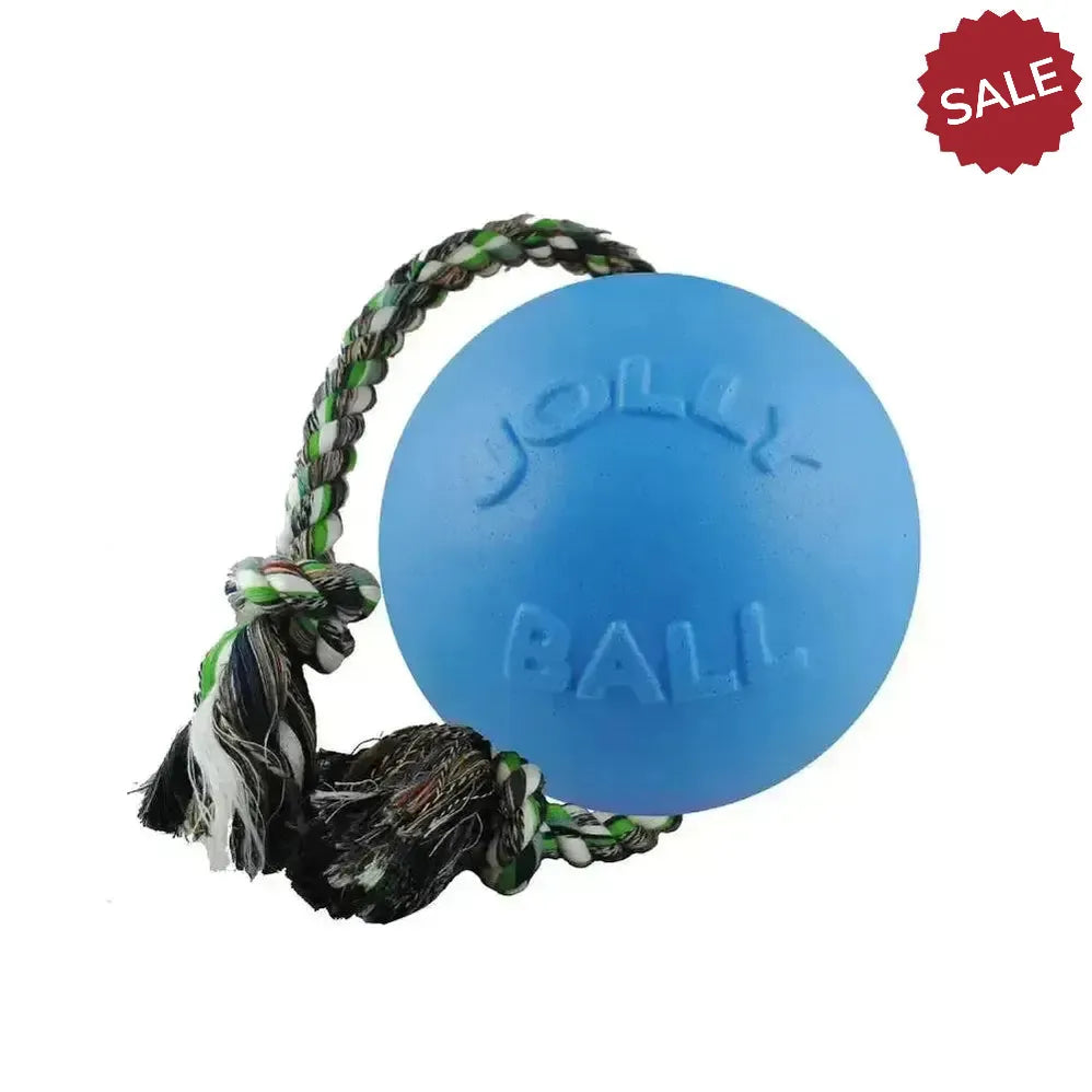 Jolly Pets Romp-N-Roll Blueberry 4.5" Blueberry Dog Toys