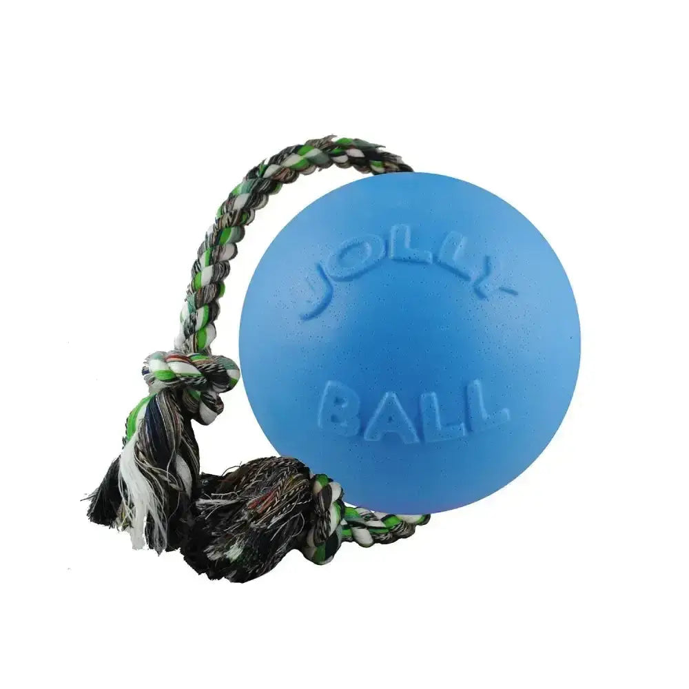 Blue jolly ball dog toy with green black and white braided rope handle from jolly pets romp-n-roll blueberry