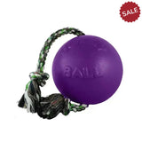 Jolly Pets Romp-N-Roll Purple 4.5" Purple Dog Toys